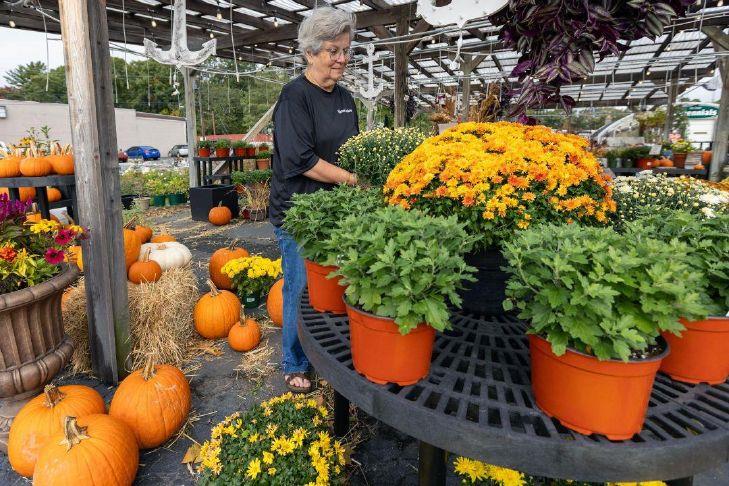 Mum's The Word | Zip06 Jill Hale of Grove Gardens Nursery and